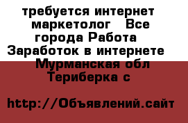 требуется интернет- маркетолог - Все города Работа » Заработок в интернете   . Мурманская обл.,Териберка с.